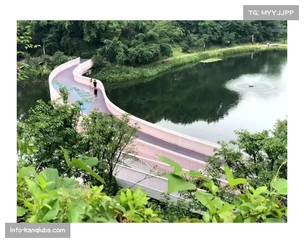 王子公园球场宣布将改造草坪排水系统，以应对高强度赛程